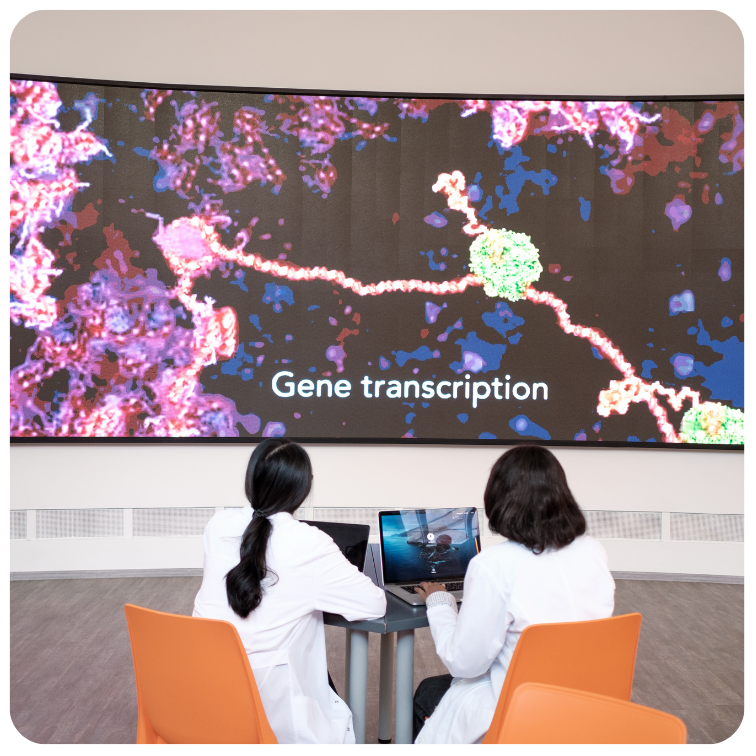 ekran z genami i ludzmi